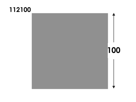 Vierkant staf 100 EN AW-6082 brute L:3000mm⁴